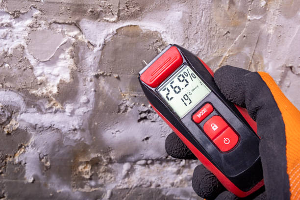 Best Bathroom Mold Remediation in West Ocean City, MD