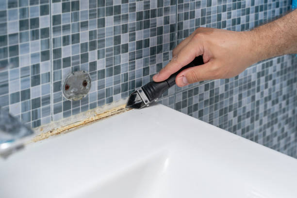 Best Residential Mold Remediation in West Ocean City, MD